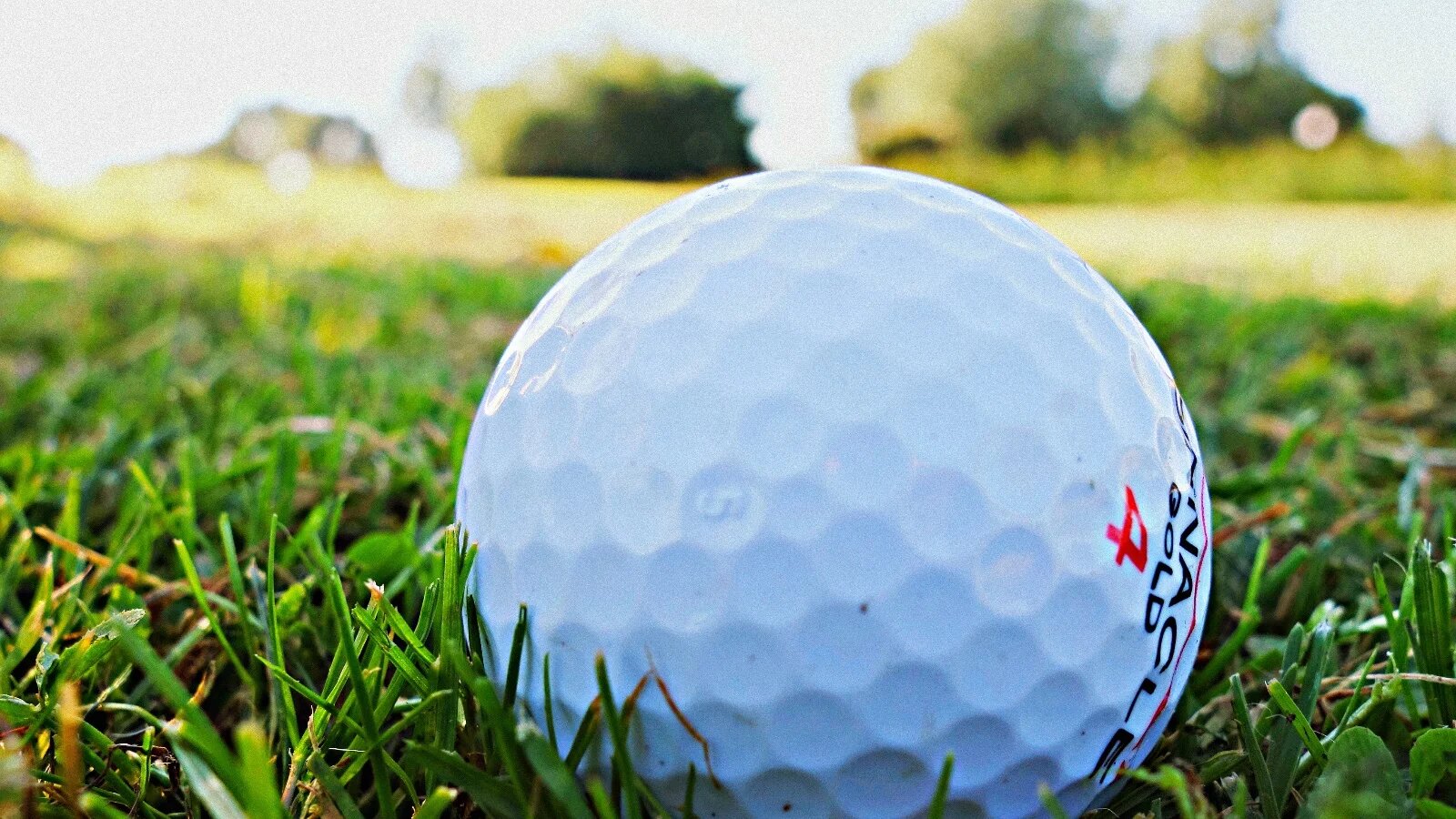 Best Golf Ball High Handicap For Absolute Win