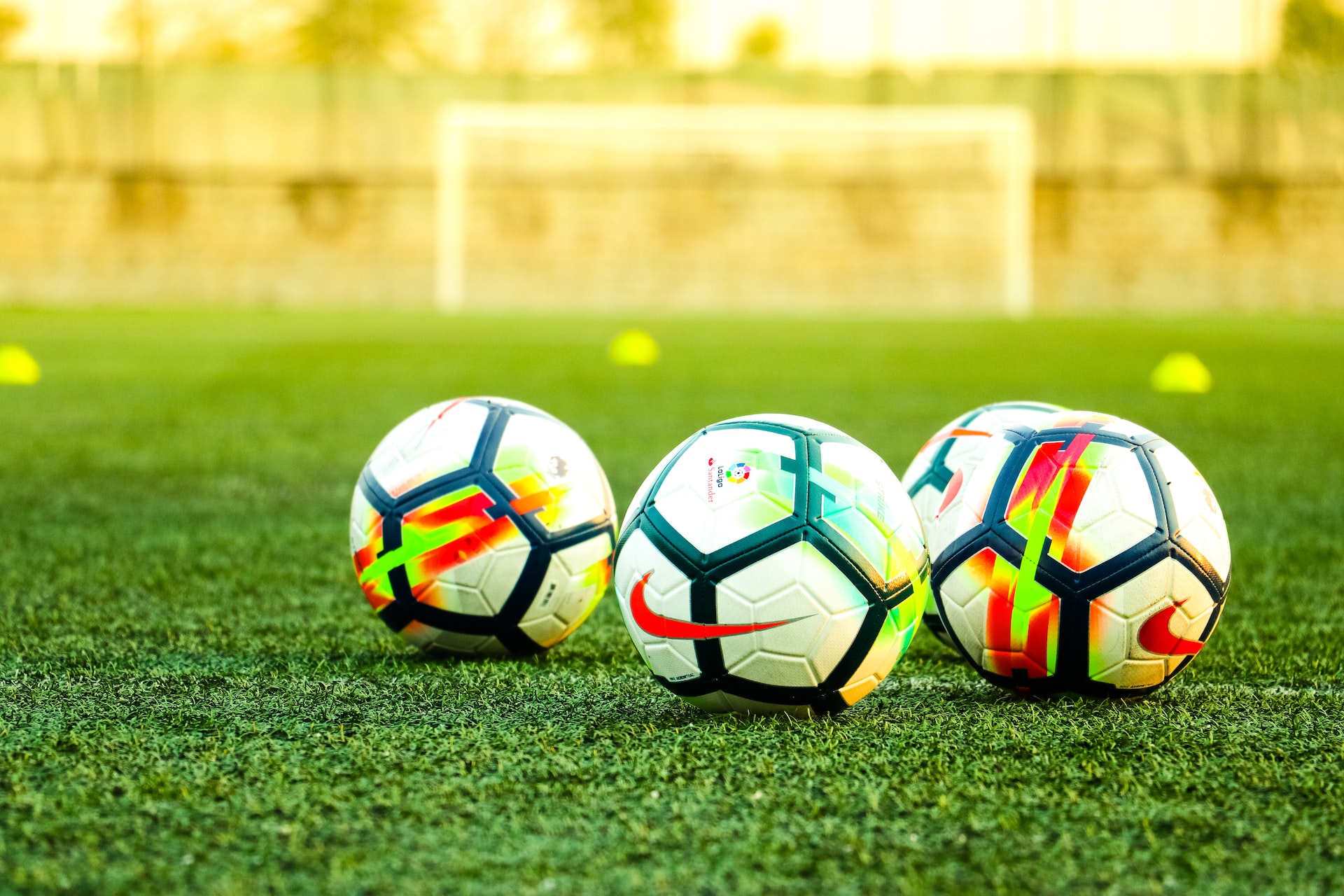 Sports Betting And Everything You Need To Know
