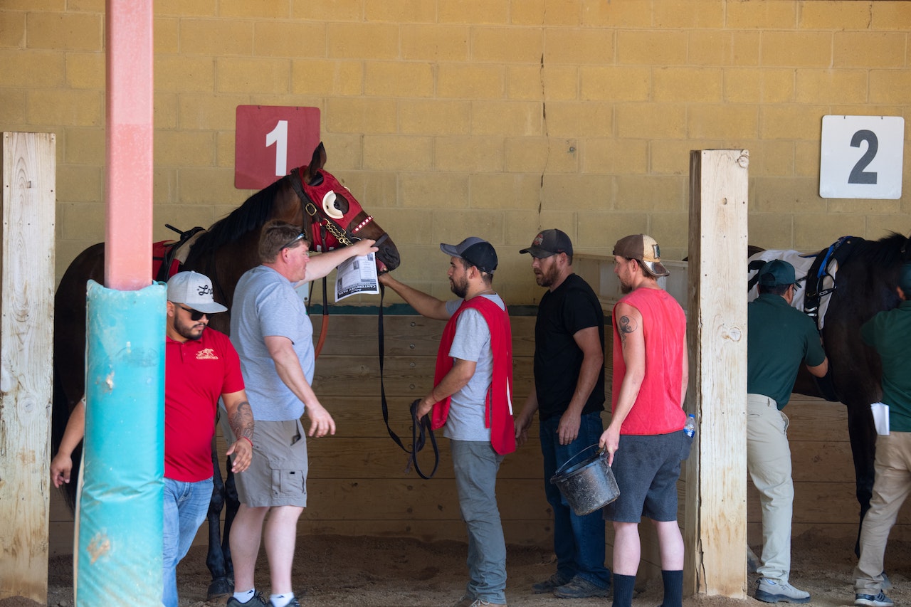 Horse Racing Betting Strategies And Tips - How To Bet Like A Pro?