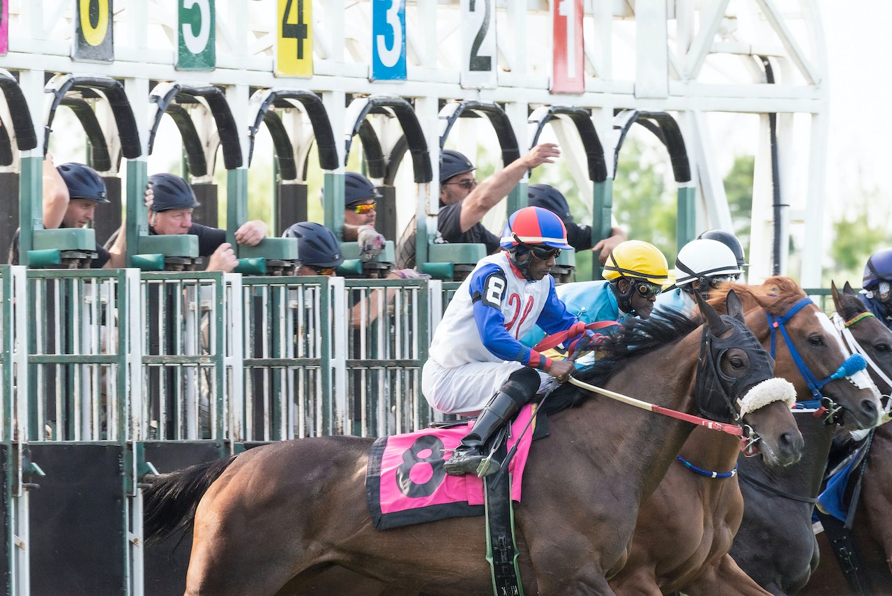 How To Bet On Horse Racing For Beginners - Where To Place Your Bets?