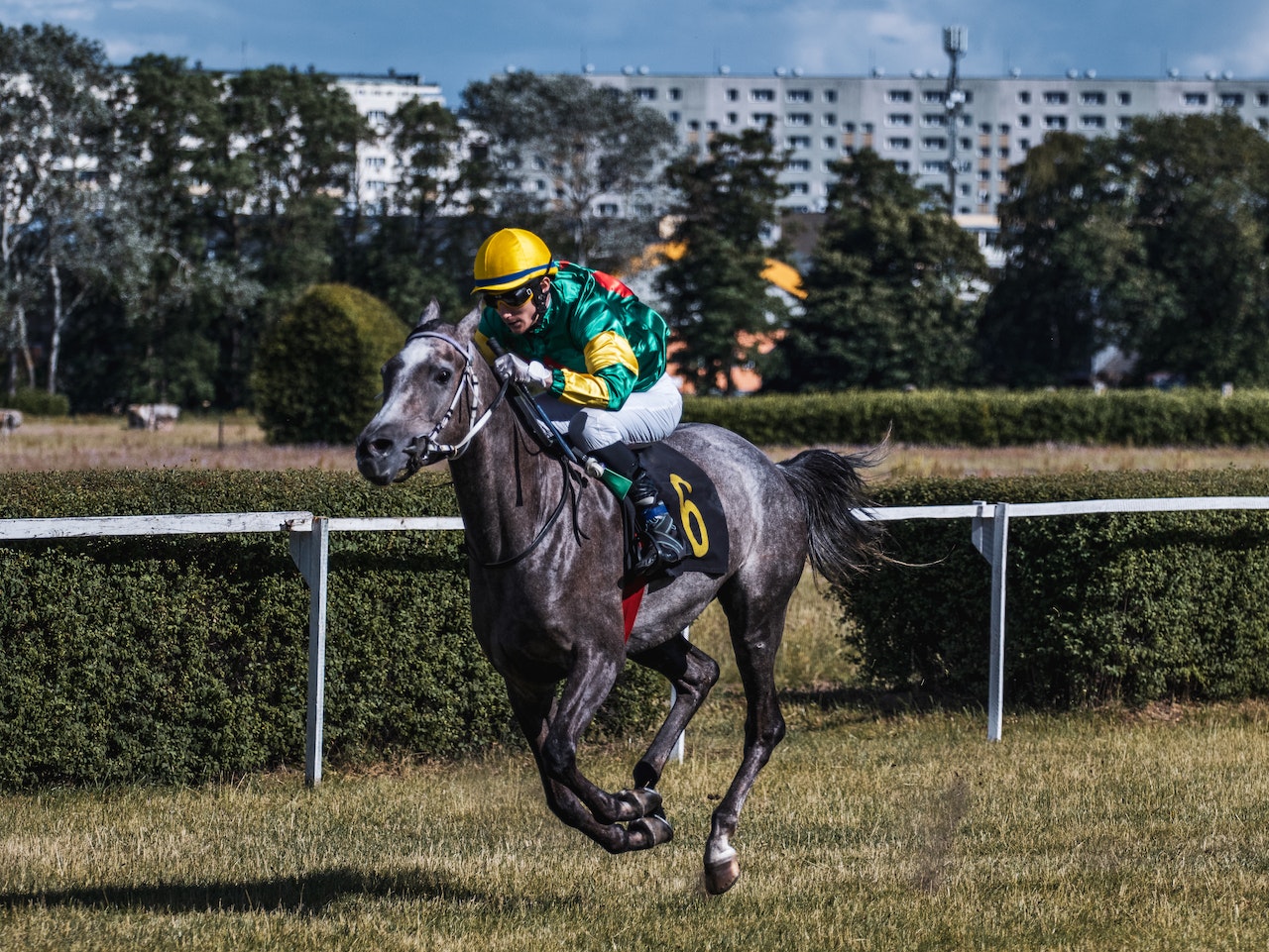 Horse Racing Betting Terms Explained - Understand Odds And Place Smart Bets