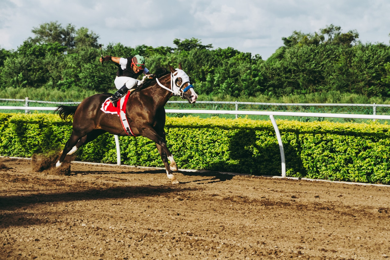 How To Claim The Best Bonuses And Promotions For Horse Racing Betting