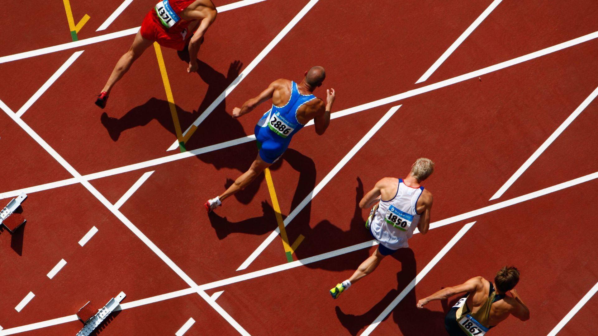 Best Sports Betting Sites For Beginners - How To Choose The Right One?