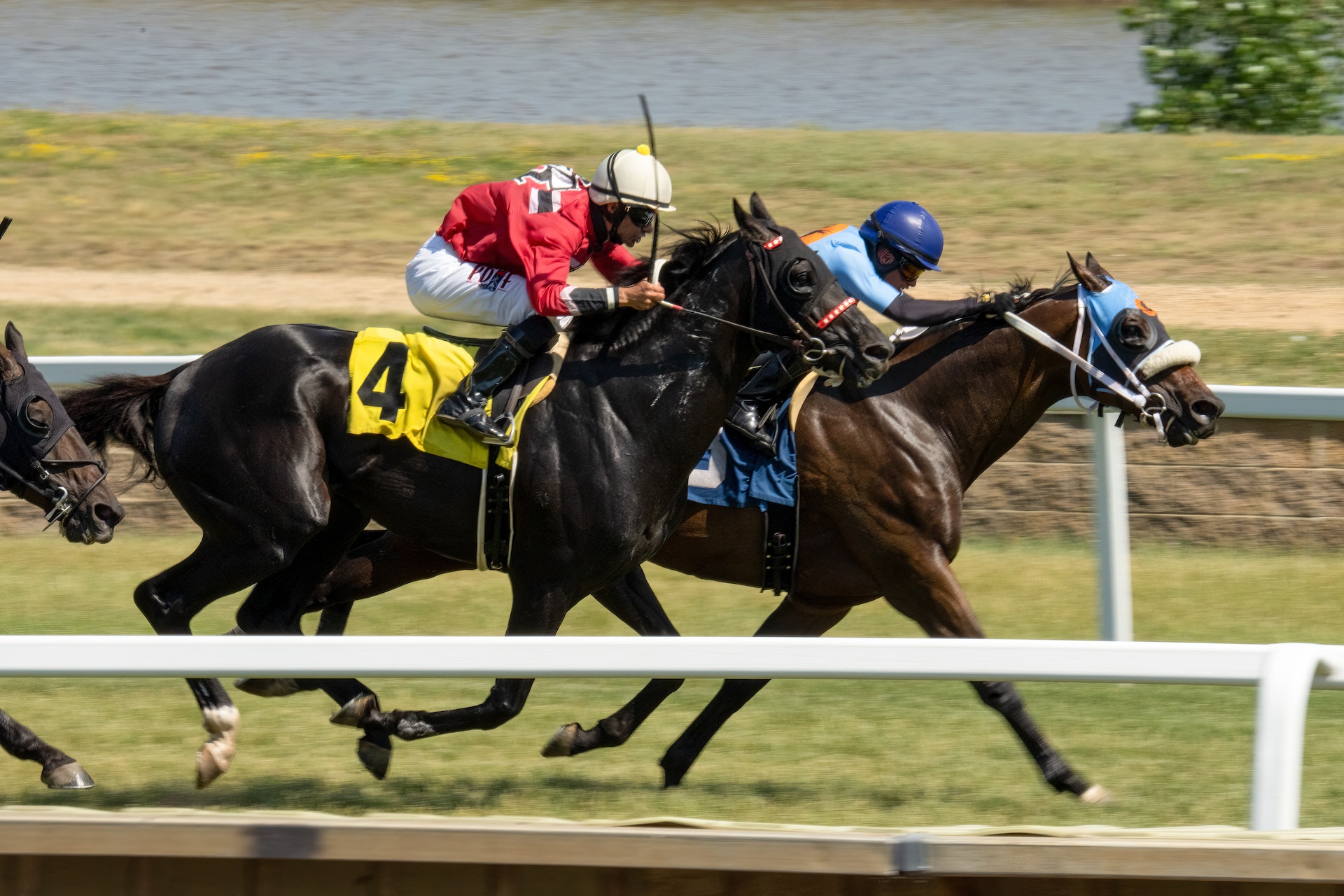 Box Trifecta - How To Place Winning Bets