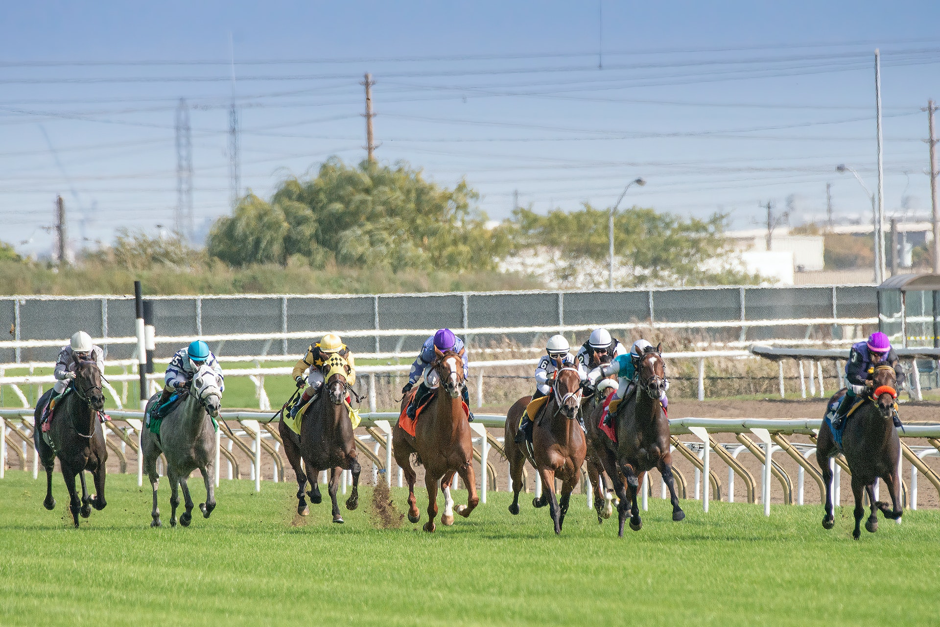 Trifecta Horse Racing - An Exciting Wagering Adventure