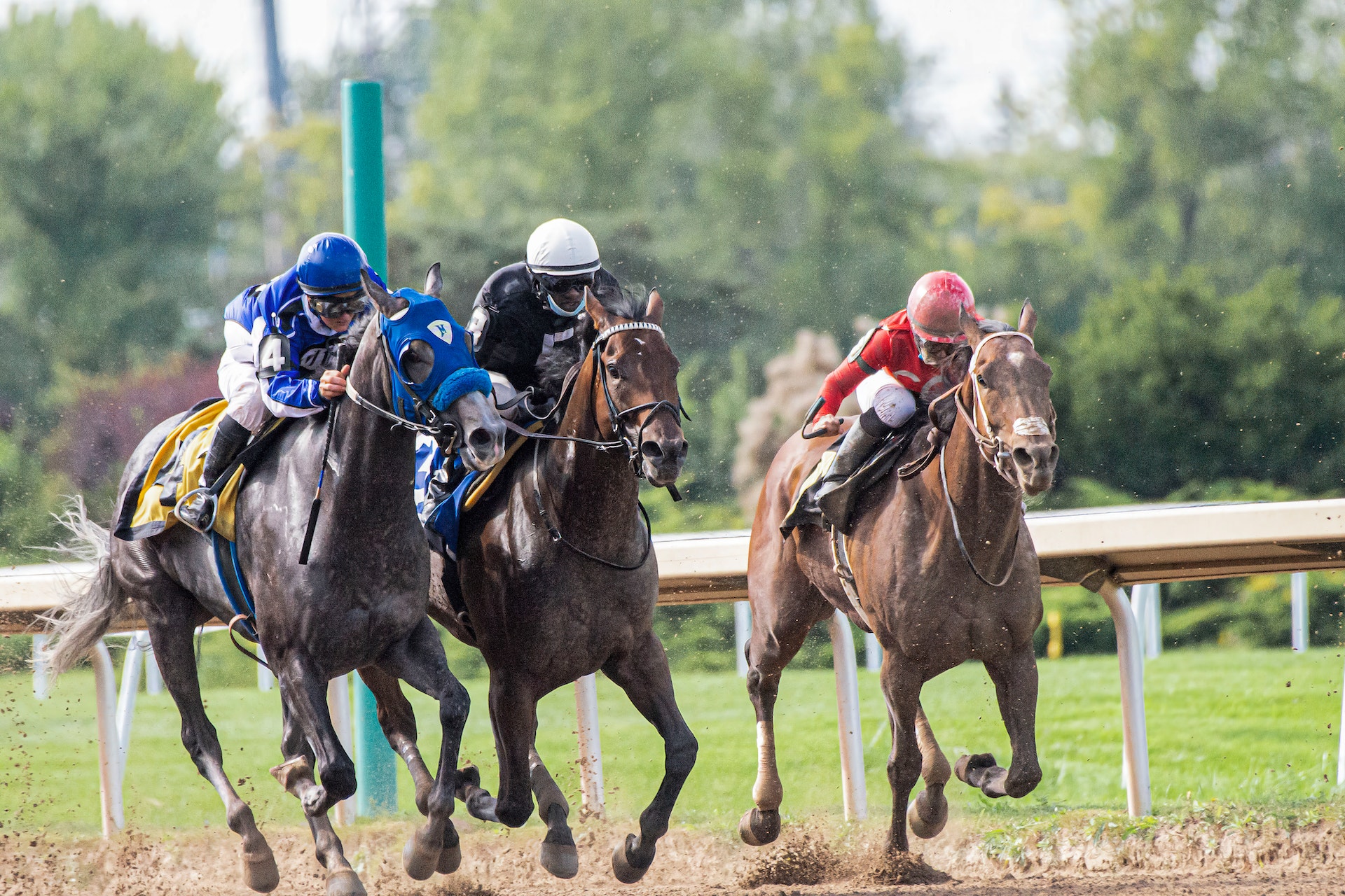 What Is A Pick 3 In Horse Racing? How It Can Boost Your Winnings