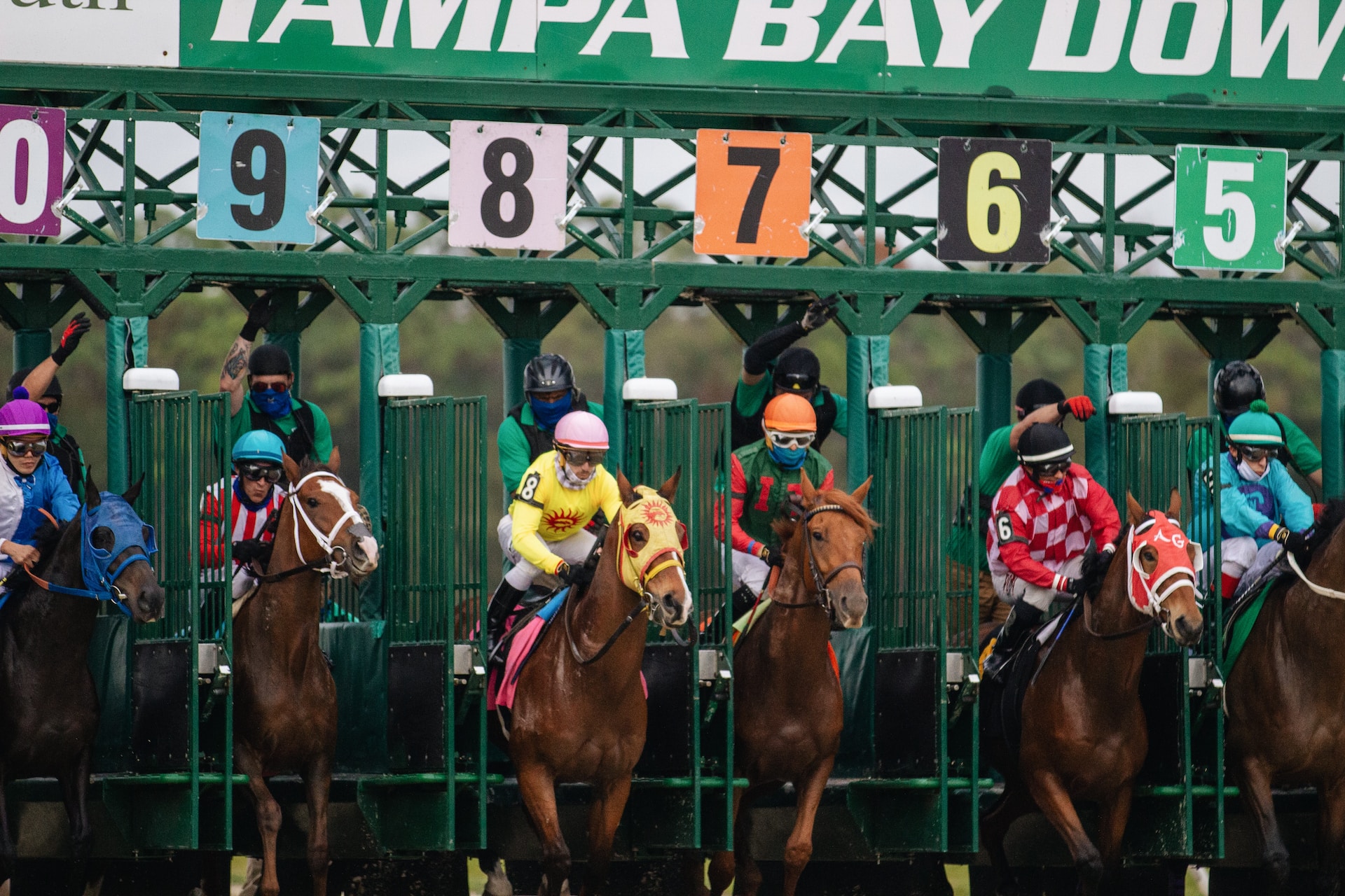 How Do You Bet A Trifecta? Mastering The Art Of Trifecta Betting
