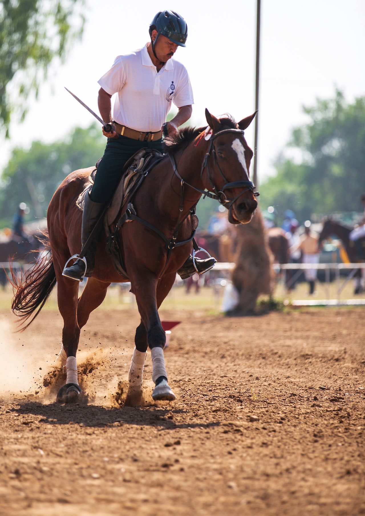 Pick 3 Horse Bet - Exploring The Strategies