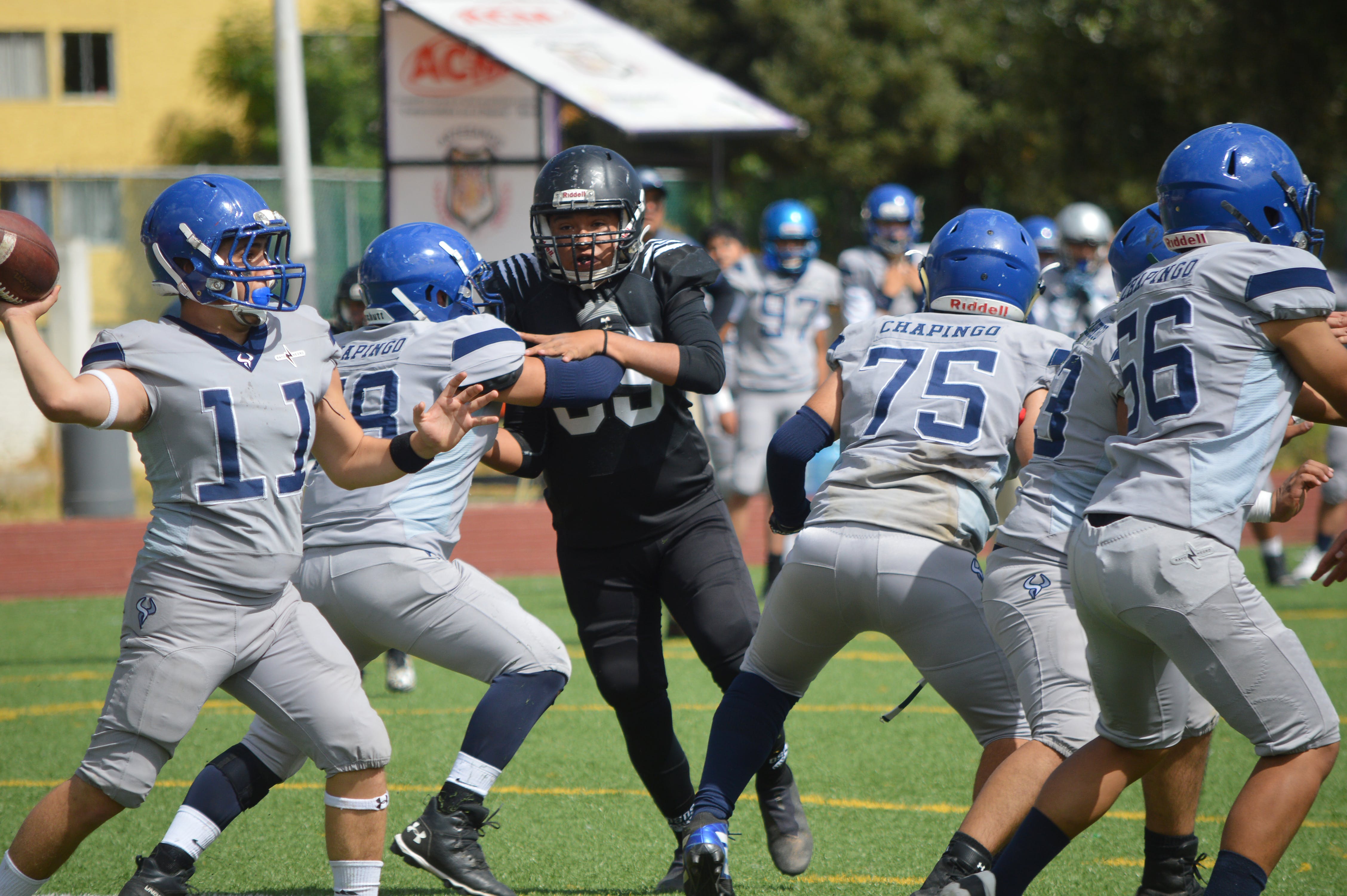 American football players are playing in green grassy field.