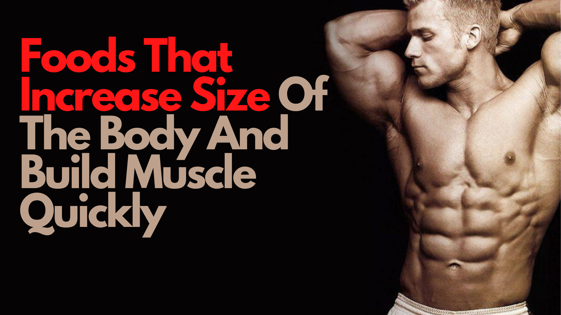 What Are The Top Foods For Increasing Size? [2024 Guide]