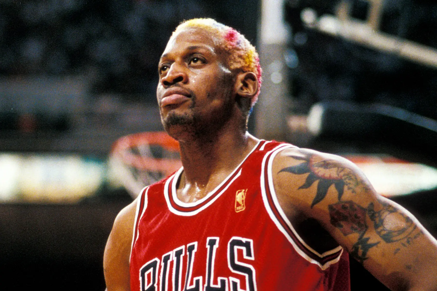 Dennis Rodman Net Worth In 2024, Bio, Facts And Statistics