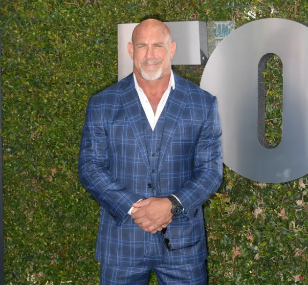 Bill Goldberg's Career And Net Worth In 2024: Earnings Breakdown
