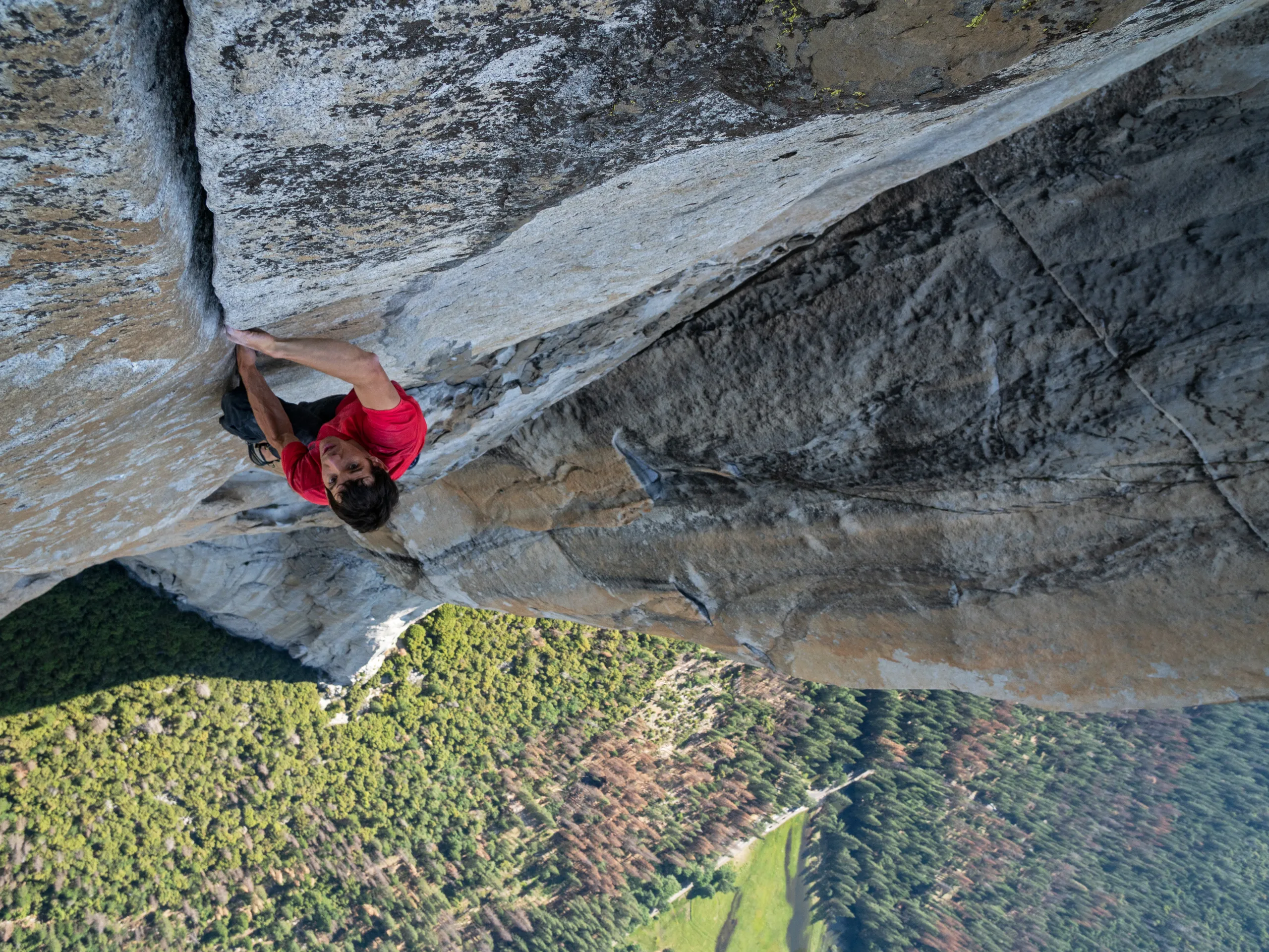Alex Honnold Net Worth In 2024, Biography And Wife